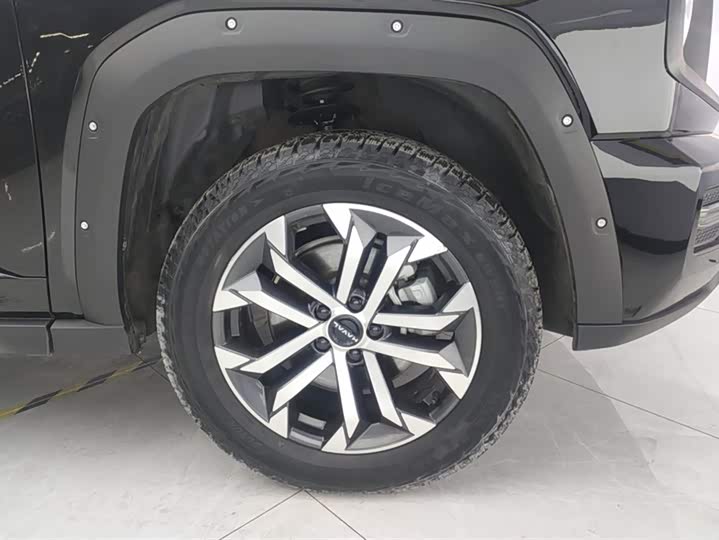 Фото 6 - Haval H-Dog