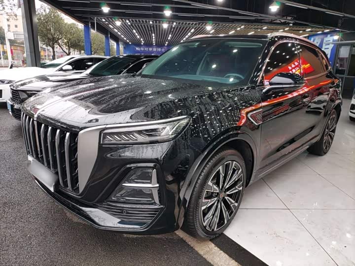 Фото 2 - Hongqi HS5