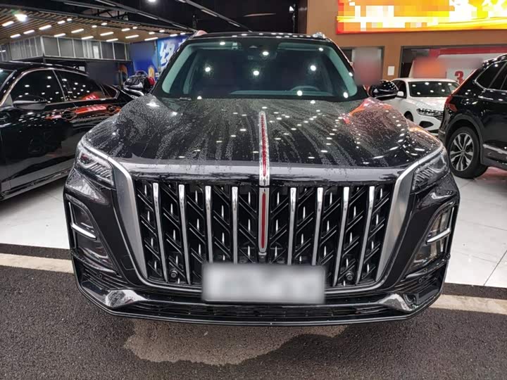Фото 3 - Hongqi HS5