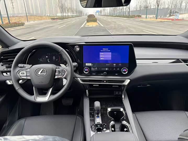 Фото 5 - Lexus RX