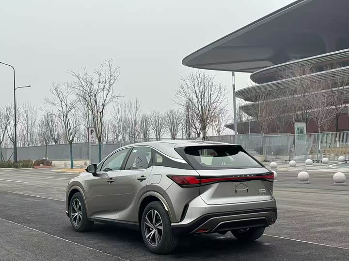 Фото 9 - Lexus RX