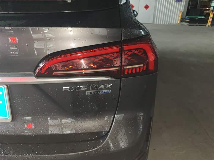 Фото 8 - Roewe RX5 Max