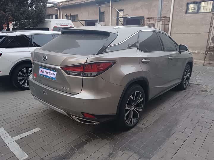 Фото 6 - Lexus RX