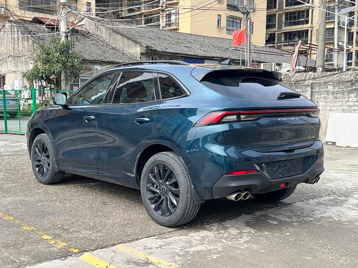 Фото 5 - Dongfeng Forthing T5 EVO