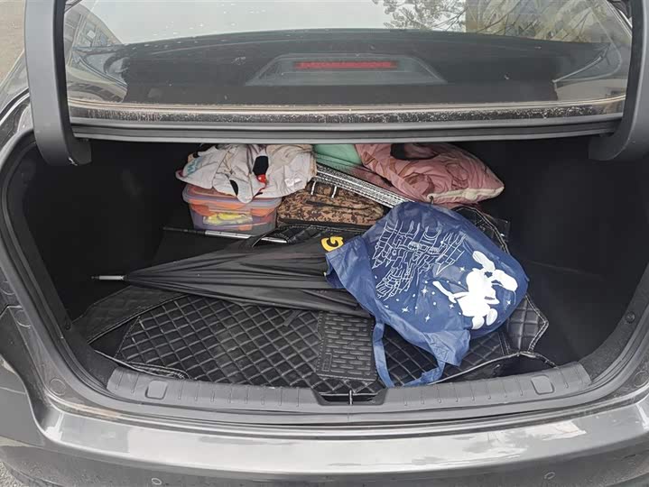 Фото 4 - Changan Raeton CC