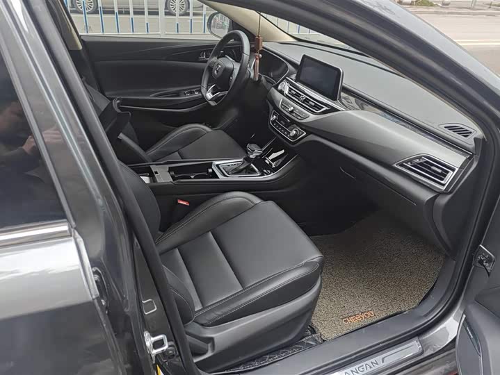 Фото 8 - Changan Raeton CC