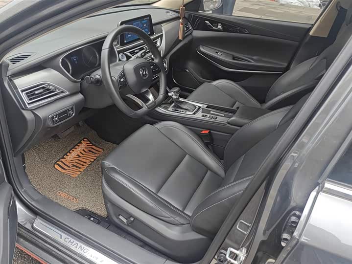 Фото 9 - Changan Raeton CC