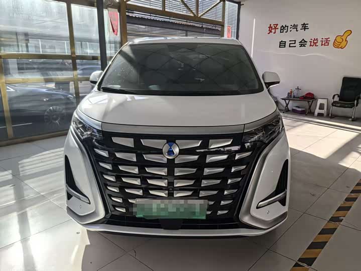 Фото 1 - Denza D9