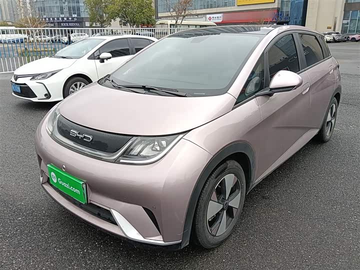 Фото 2 - BYD Dolphin