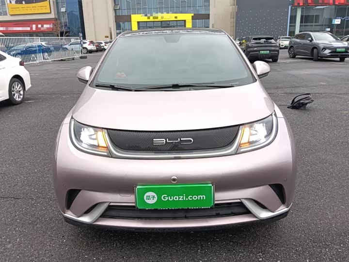 Фото 3 - BYD Dolphin