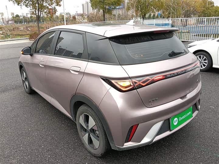 Фото 5 - BYD Dolphin