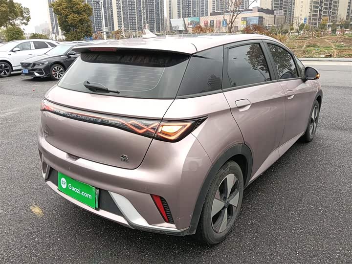 Фото 7 - BYD Dolphin