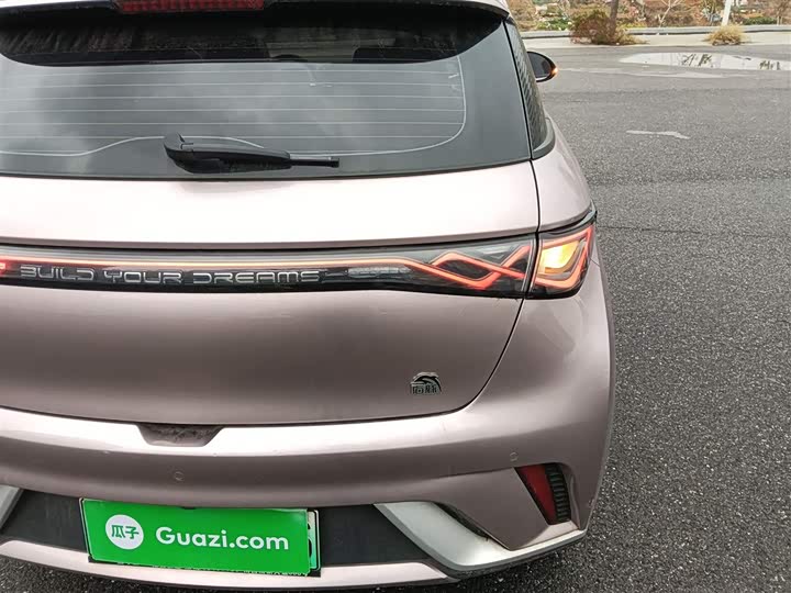 Фото 8 - BYD Dolphin