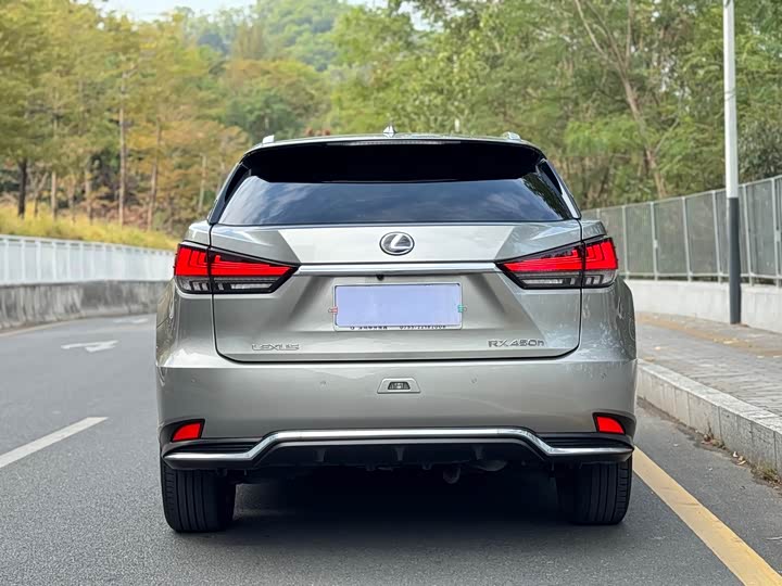 Фото 5 - Lexus RX