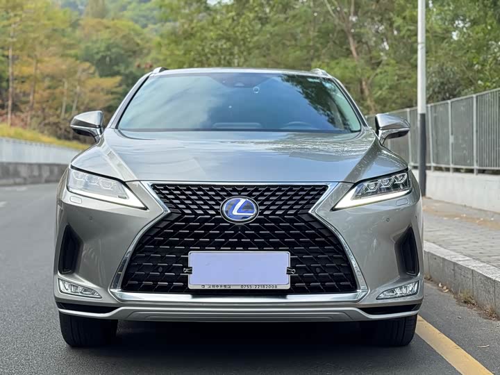 Фото 6 - Lexus RX