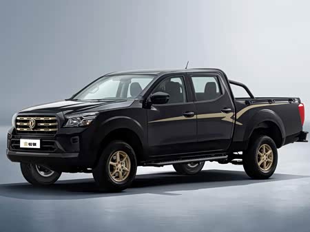 Фото 1 - Dongfeng Rich