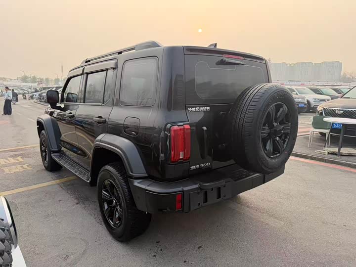 Фото 4 - Tank 300