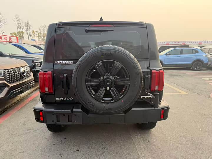 Фото 5 - Tank 300