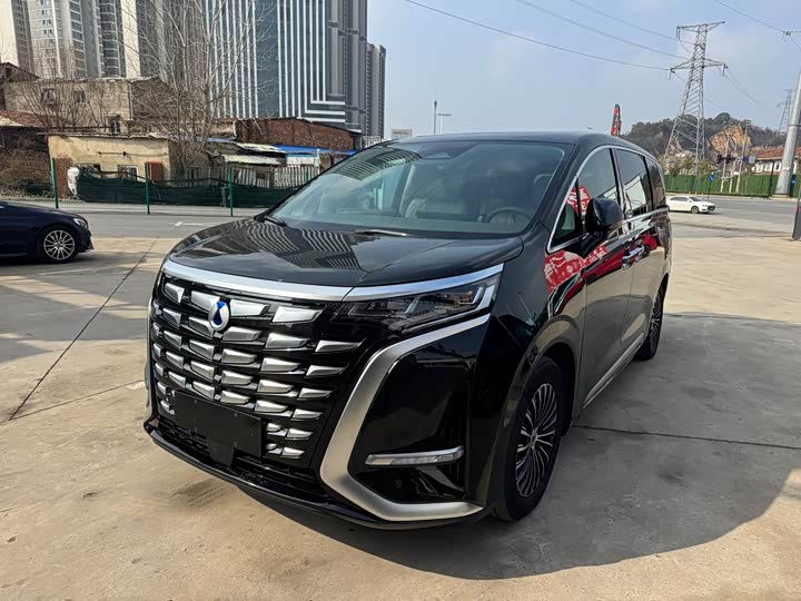 Фото 1 - Denza D9