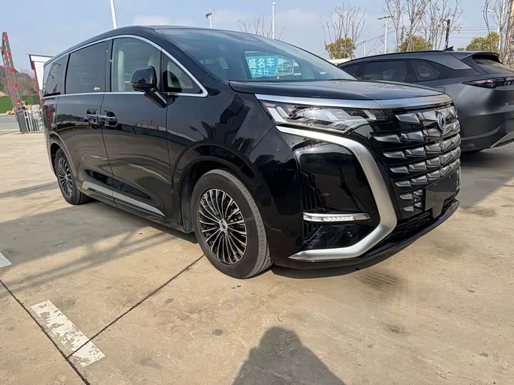 Фото 2 - Denza D9