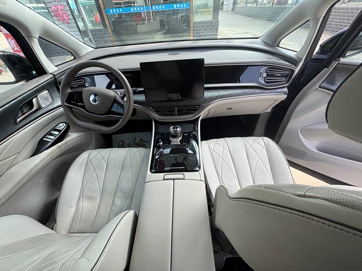 Фото 6 - Denza D9