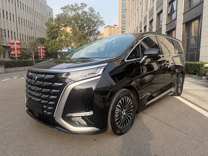 Фото 1 - Denza D9