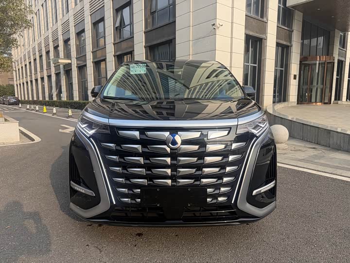 Фото 2 - Denza D9