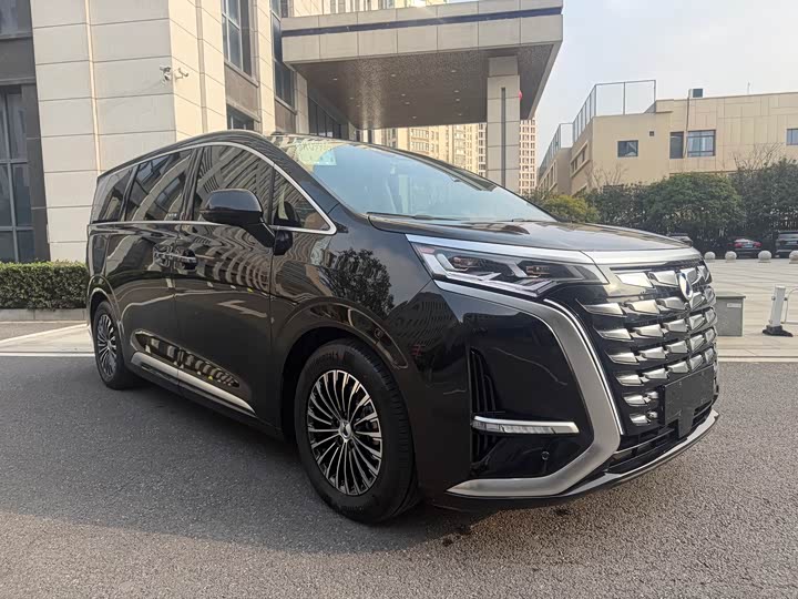 Фото 4 - Denza D9