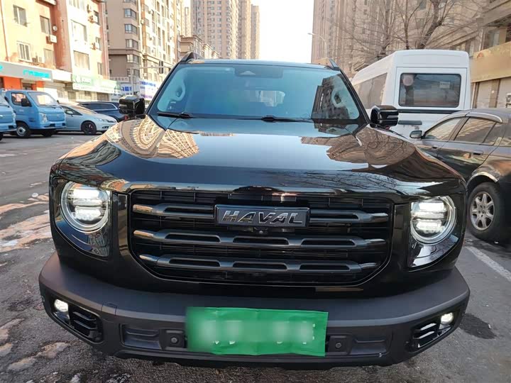 Фото 3 - Haval Dargo