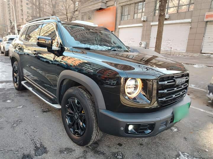 Фото 4 - Haval Dargo