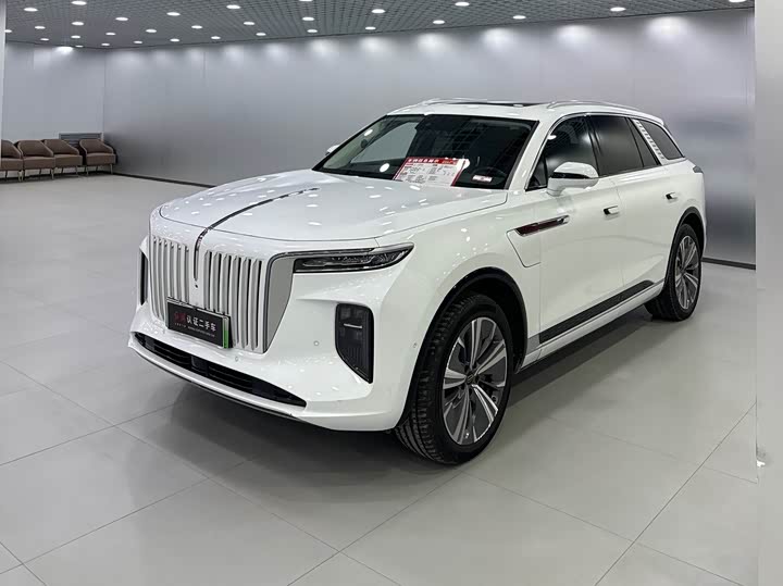 Фото 1 - Hongqi E-HS9