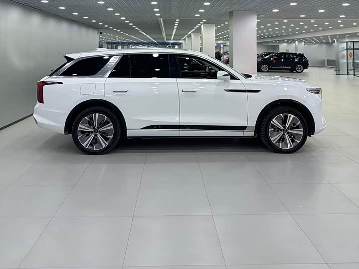 Фото 2 - Hongqi E-HS9