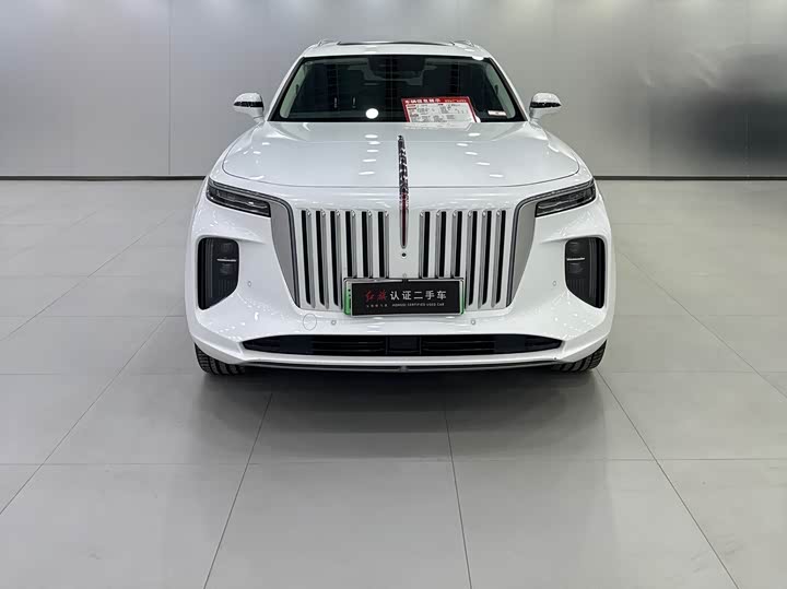 Фото 3 - Hongqi E-HS9