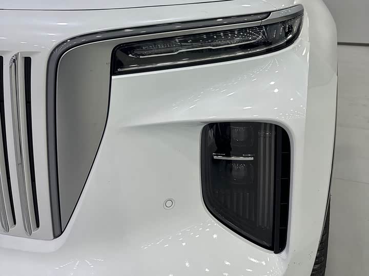 Фото 4 - Hongqi E-HS9