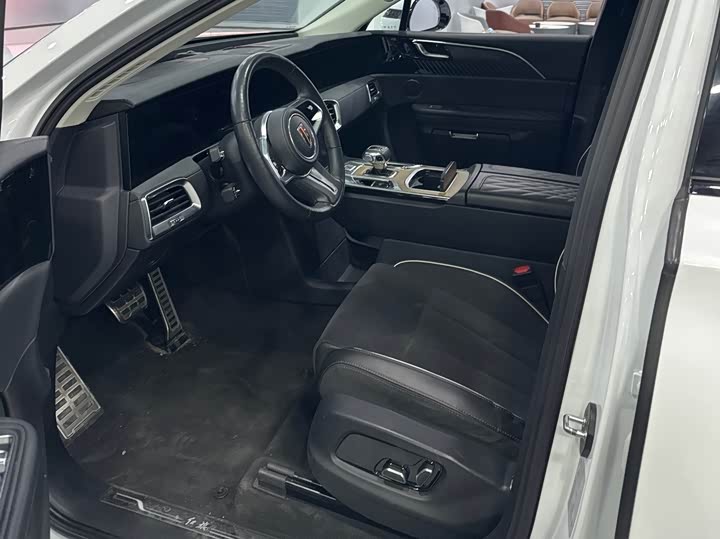 Фото 6 - Hongqi E-HS9