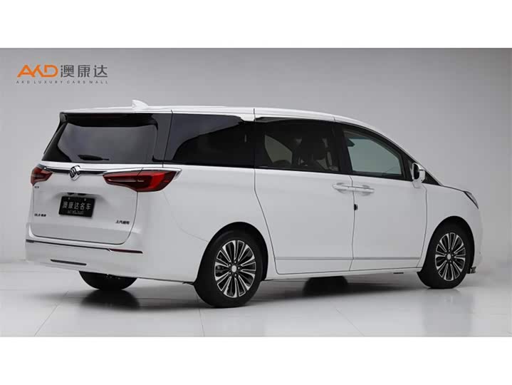 Фото 3 - Buick GL8 ES