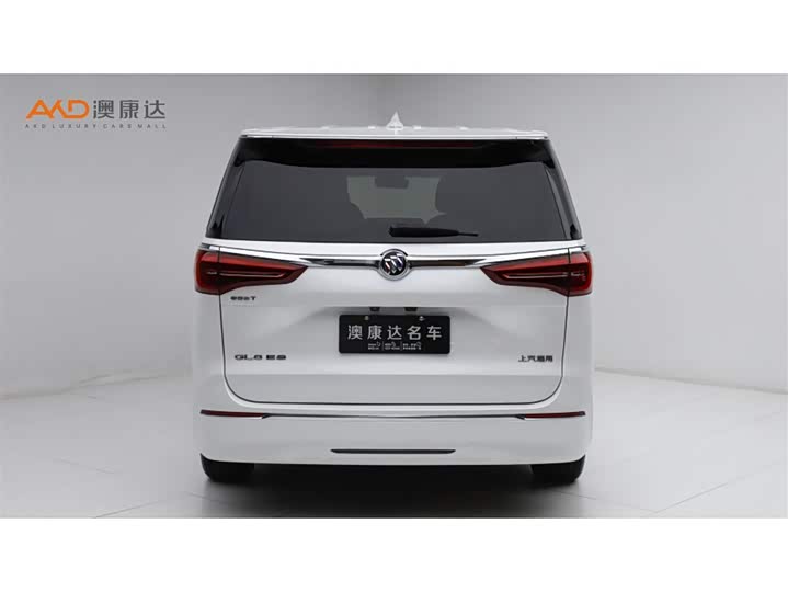 Фото 4 - Buick GL8 ES