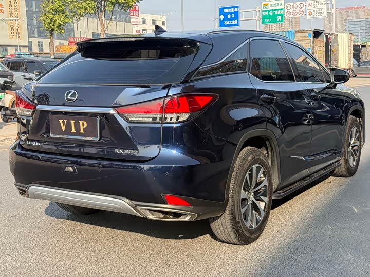 Фото 7 - Lexus RX