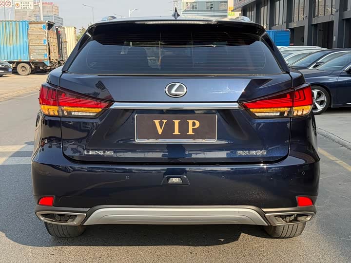 Фото 8 - Lexus RX