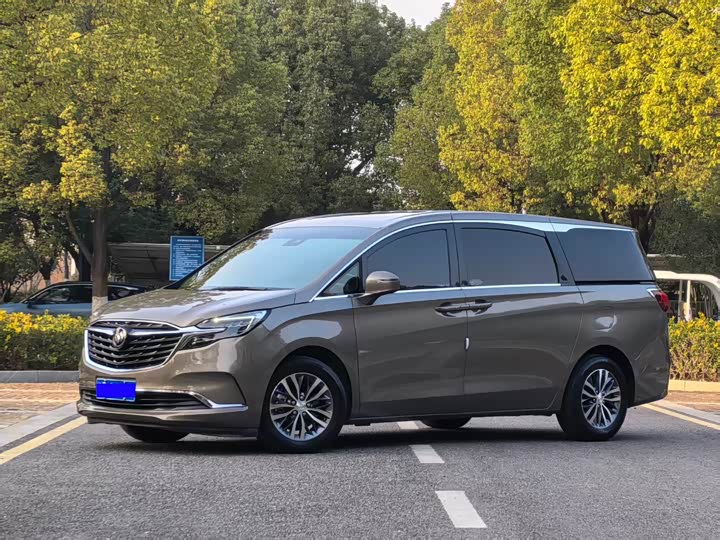 Фото 1 - Buick GL8 ES