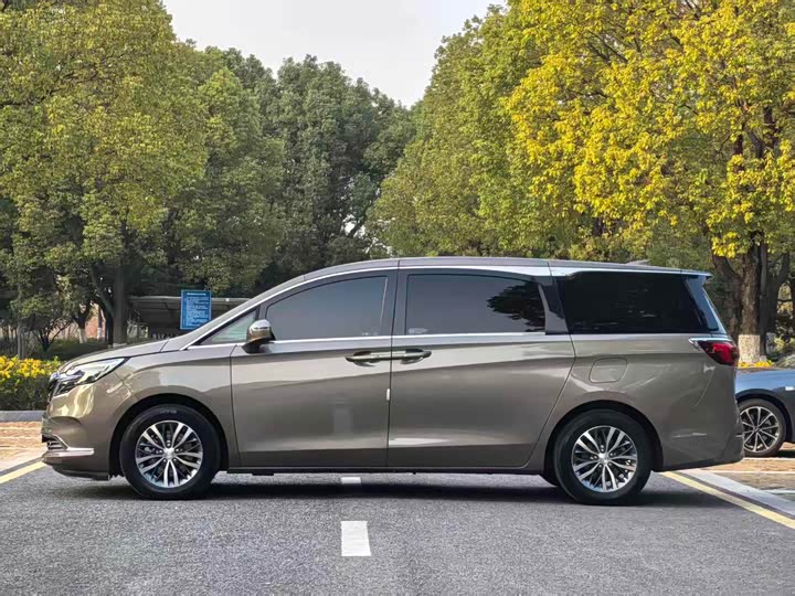 Фото 5 - Buick GL8 ES