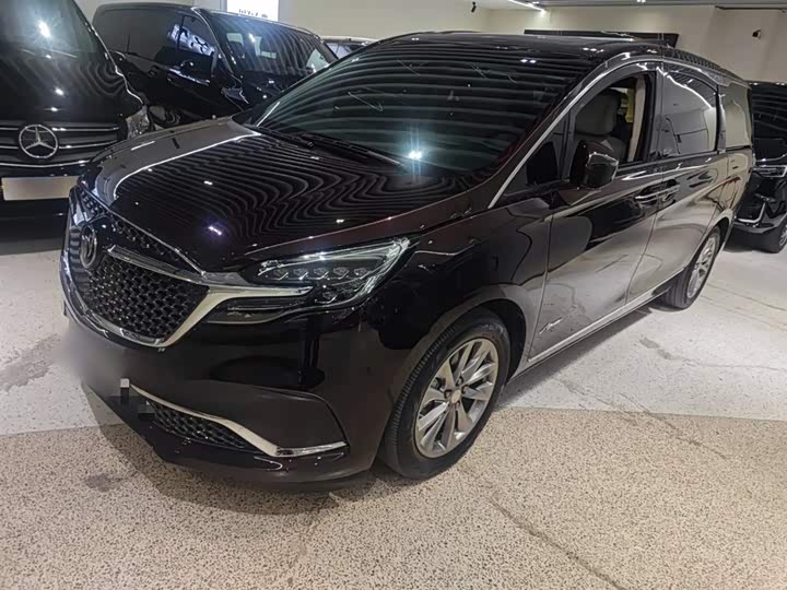 Фото 2 - Buick GL8 ES