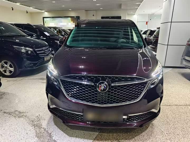 Фото 3 - Buick GL8 ES