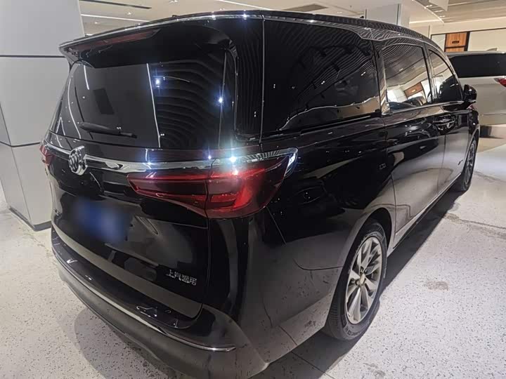 Фото 7 - Buick GL8 ES