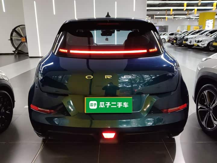 Фото 6 - Ora Good Cat (03)