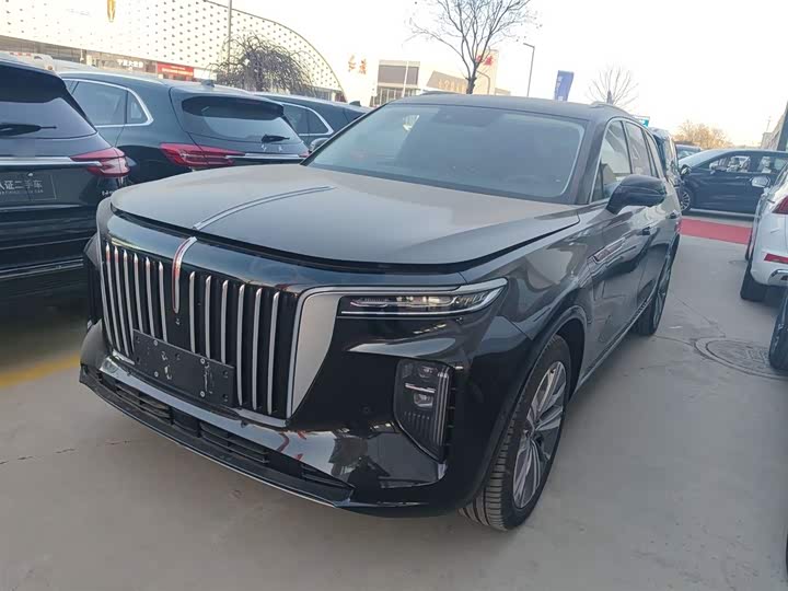 Фото 2 - Hongqi E-HS9