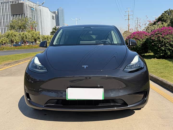 Фото 2 - Tesla Model Y