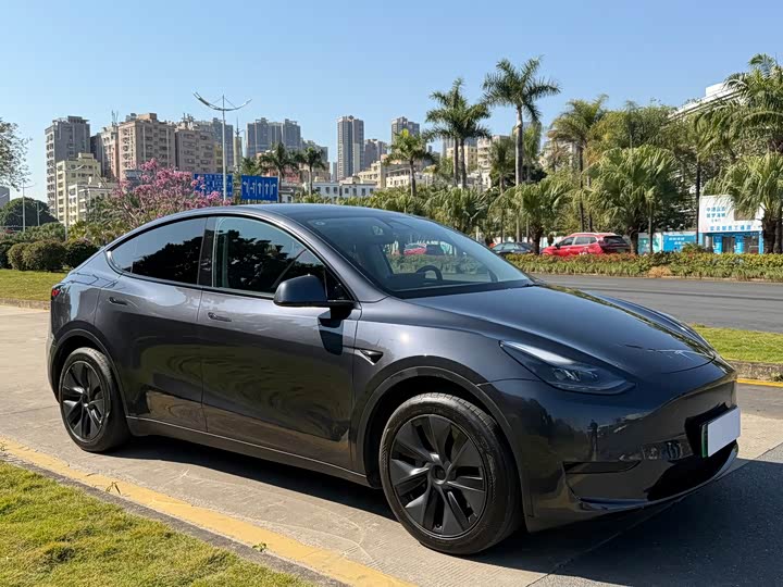 Фото 3 - Tesla Model Y