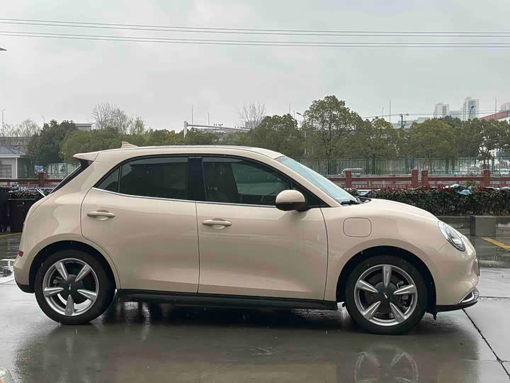 Фото 5 - Ora Good Cat (03)