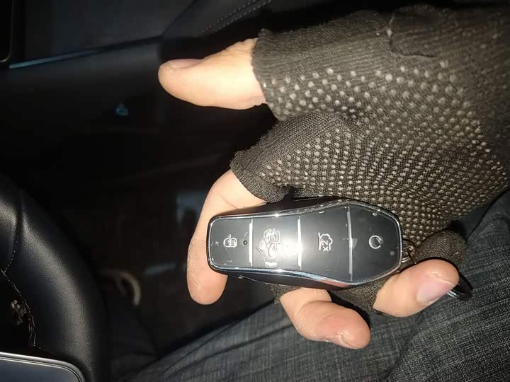 Фото 9 - BYD Qin L